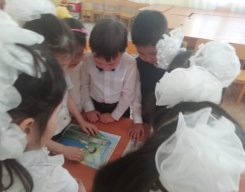 photogallery